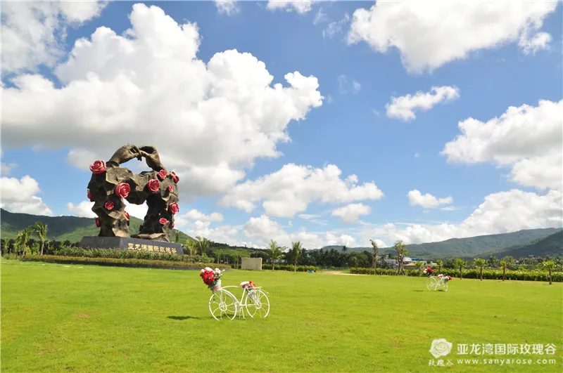 58ce750b8a7ac595fec951f5ca852dac-sz_605930 58ce750b8a7ac595fec951f5ca852dac-sz_605930