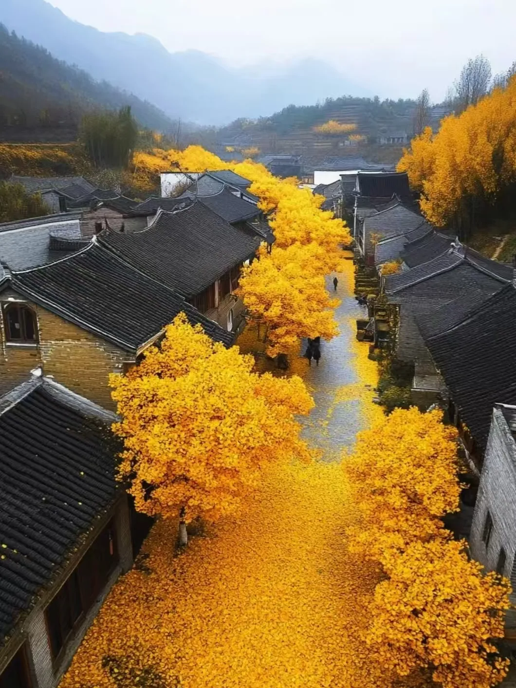 58d2af409071479154304a138788d452-sz_1053726