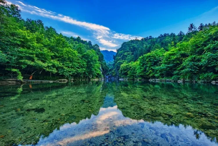 58fda6c0b2e651962c7a81f5d07c8344-sz_204754