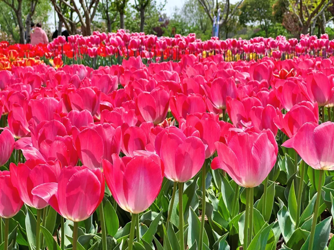 5912c25d00ed16d7945b6d0c84e5da85-sz_766601