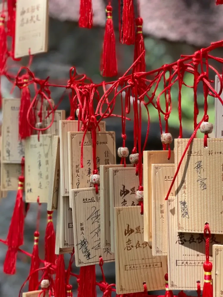 5934b801b3cd834bfc18aa2db7a6d11e-sz_3137275 5934b801b3cd834bfc18aa2db7a6d11e-sz_3137275