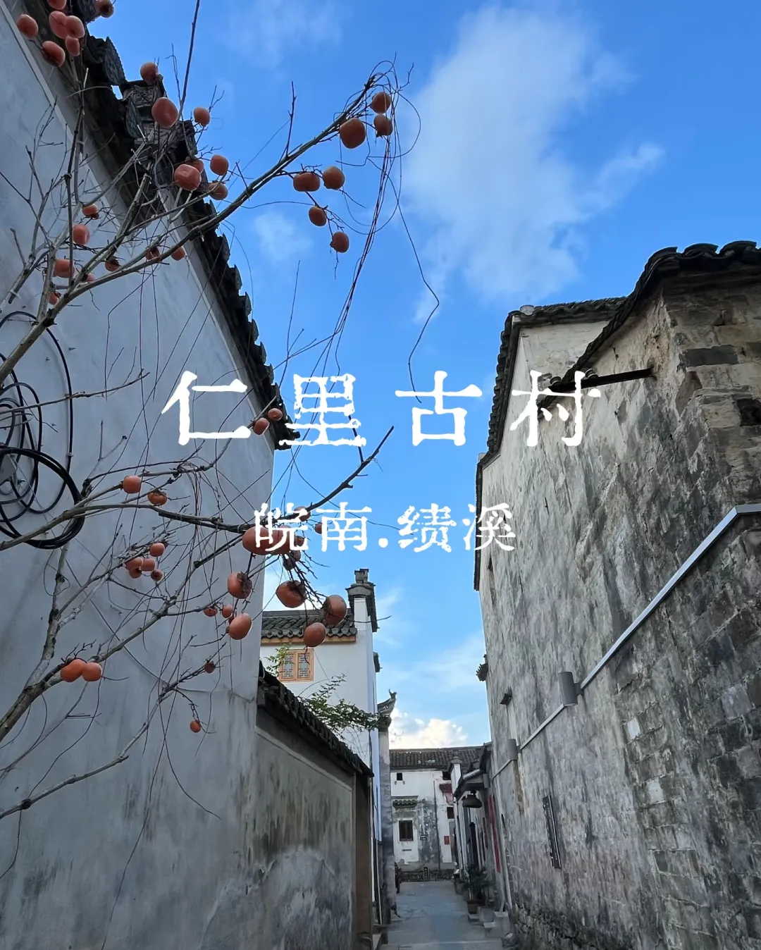 593565d235d1026f2864e57b649b5c4e-sz_1458949