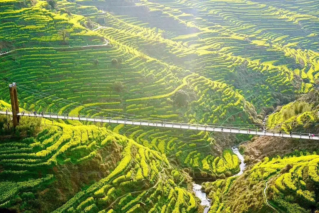 59b11a16f7d1028d133544e200dabeeb-sz_790685