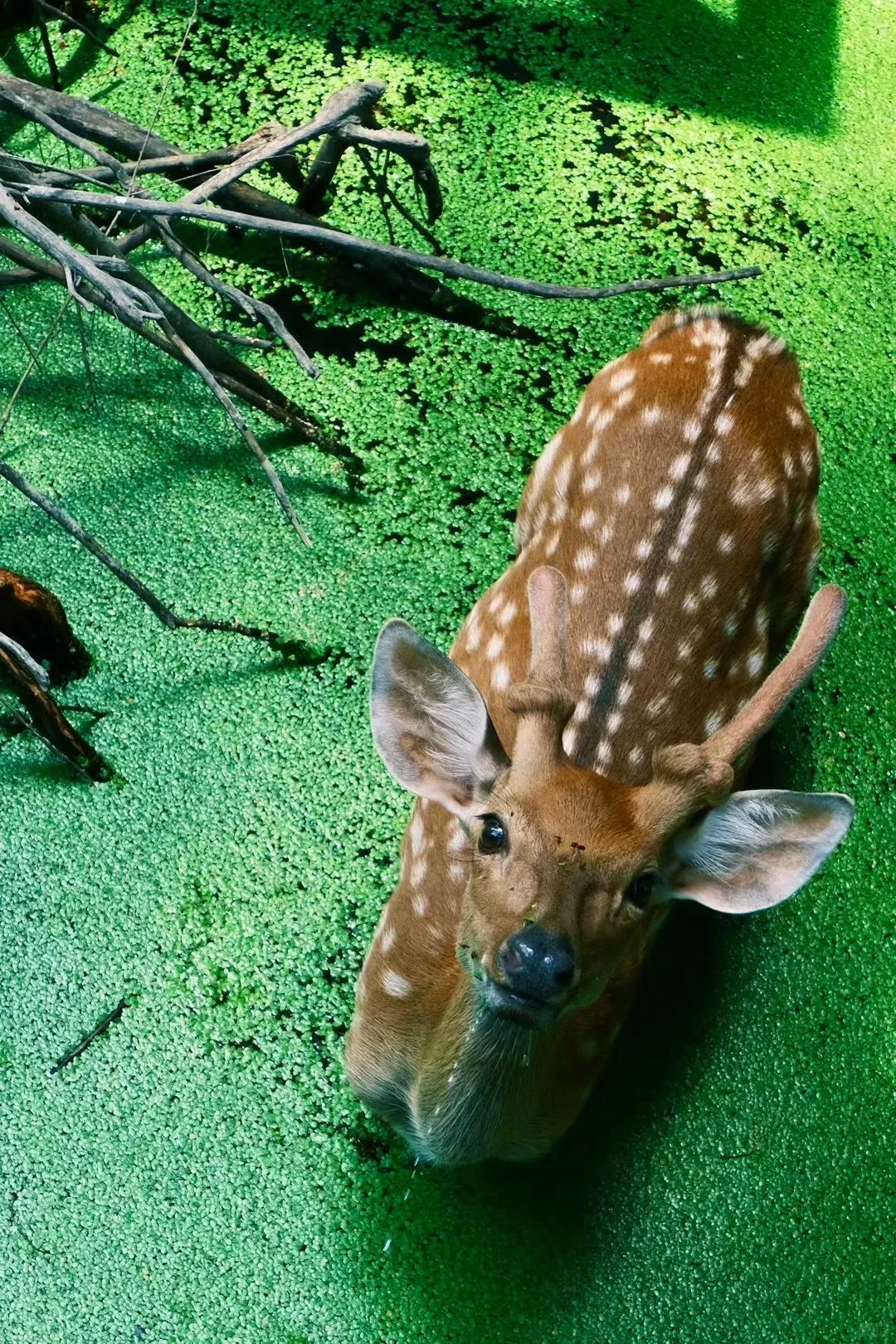 59bb0b018766cc0570611c06e874de89-sz_4865510