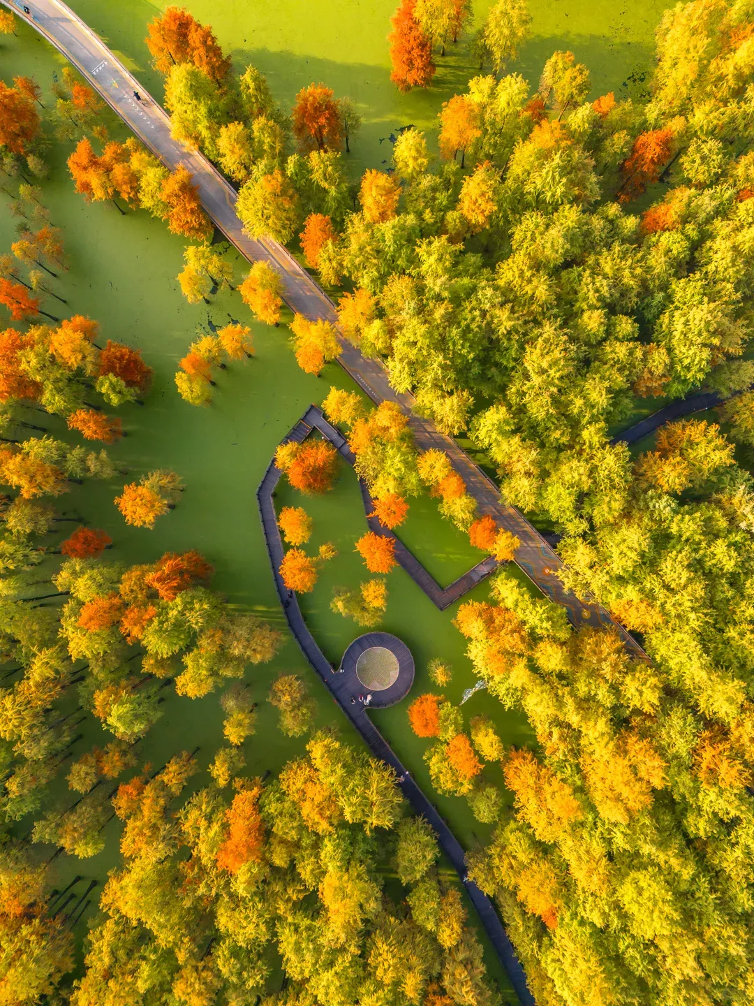 59e60e162c37179b3b741494c24fff9e-sz_4059803