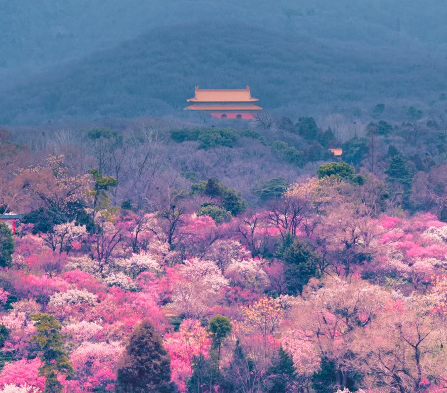 5a24bffc45c434c28019d6aeca21ac1e