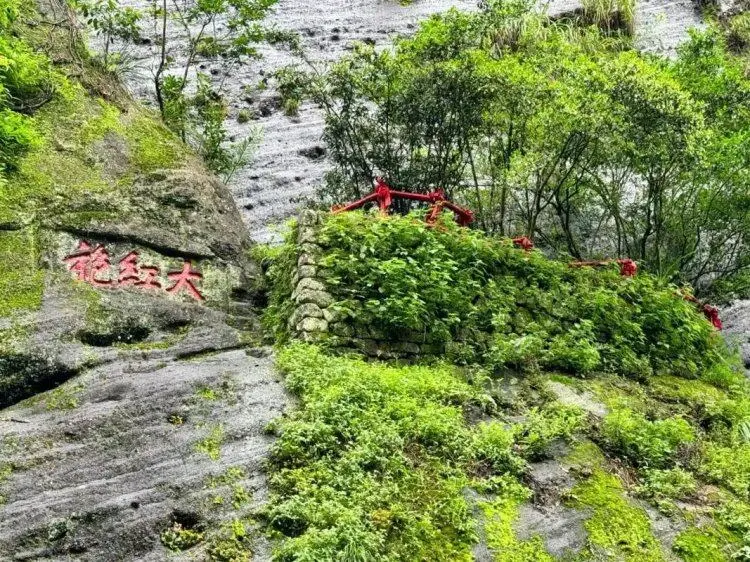 5aa1a72baab2a3c889016767abafe7f2-sz_169719