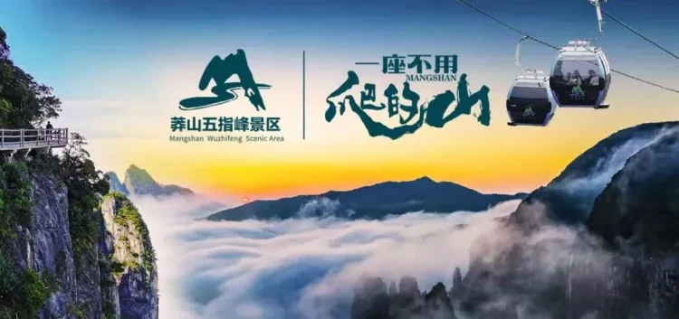 5af5557a1353a035464ffb9c428a8e0f-sz_79321-1