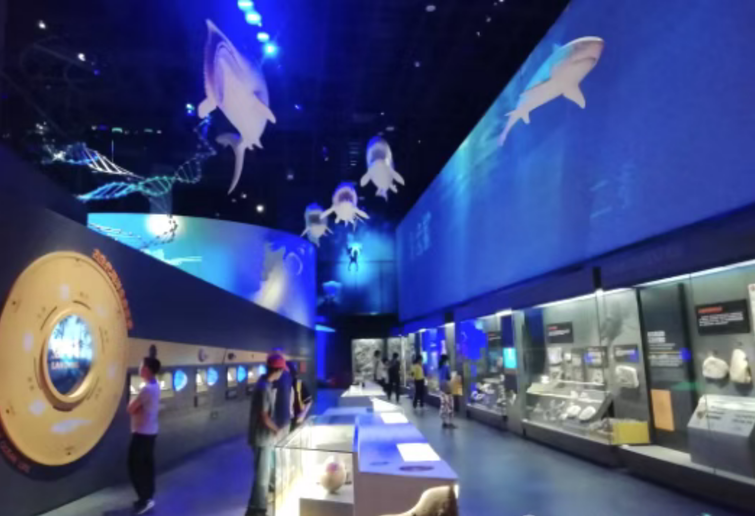 5b62e1b5b3e837756a0bb6a4d2d1a458