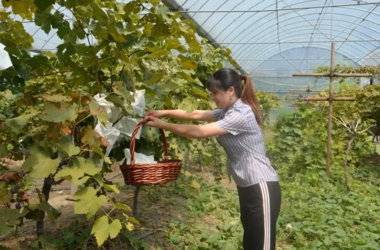 5ba95c24b5ece8d9eb9200349e232164-sz_259931 5ba95c24b5ece8d9eb9200349e232164-sz_259931