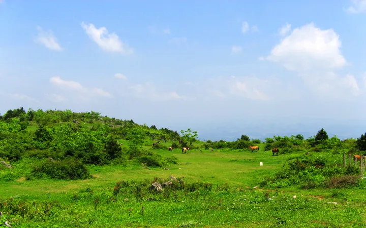 5bc1f0766c2322a4436137020fd7a3f4-sz_406804