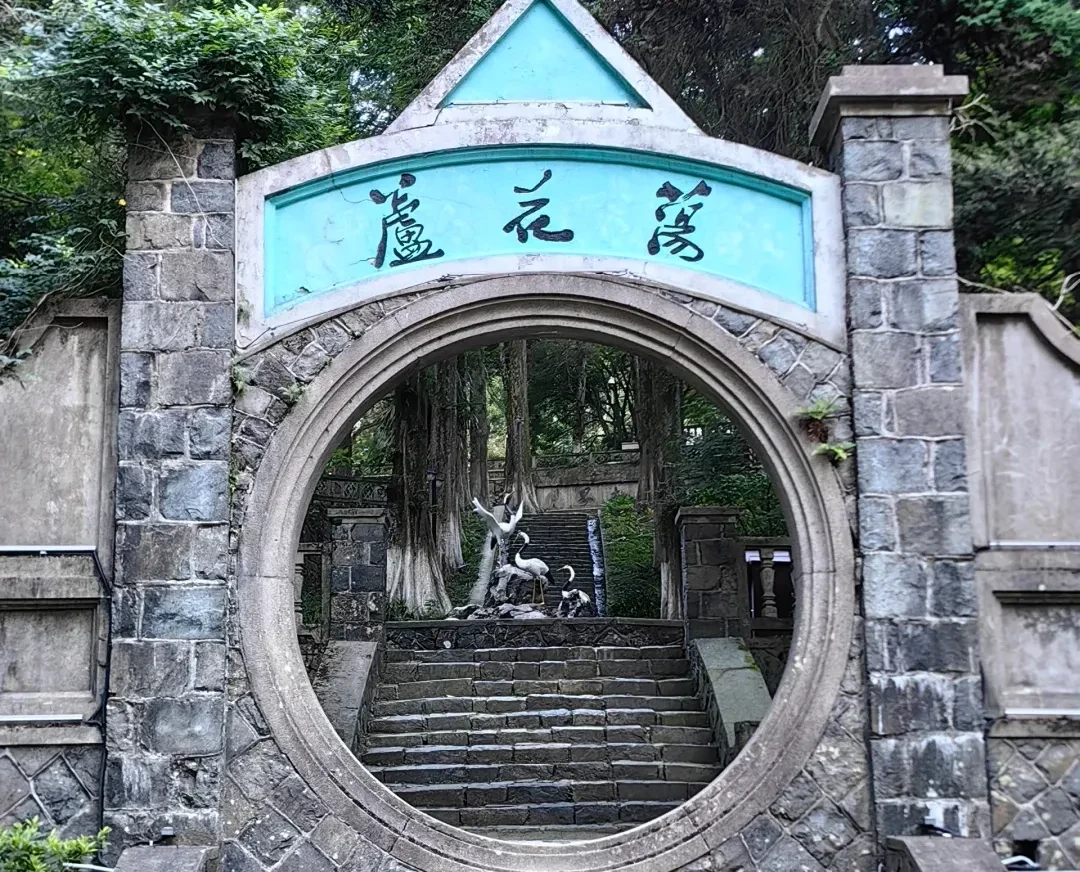 5bfc81971d2a34b8881b3954937501e7-sz_3912294