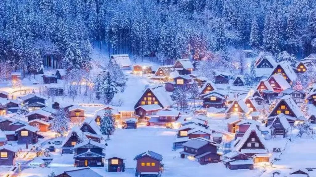 5c2aaee11fa8c56d8871d73ffab1135d-sz_657982