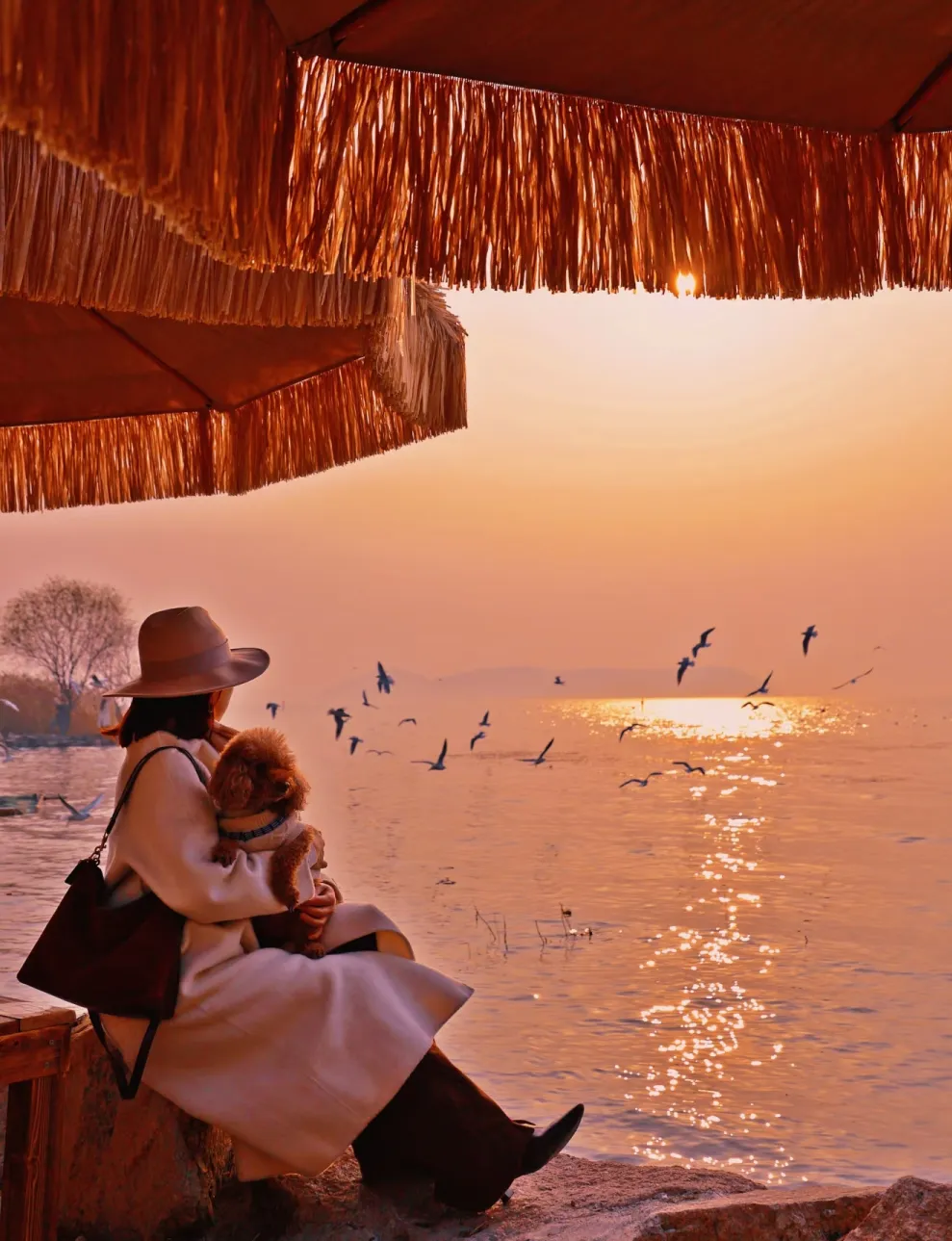 5c5ece12481e5344fd84aa5c017bcd56-sz_1319737