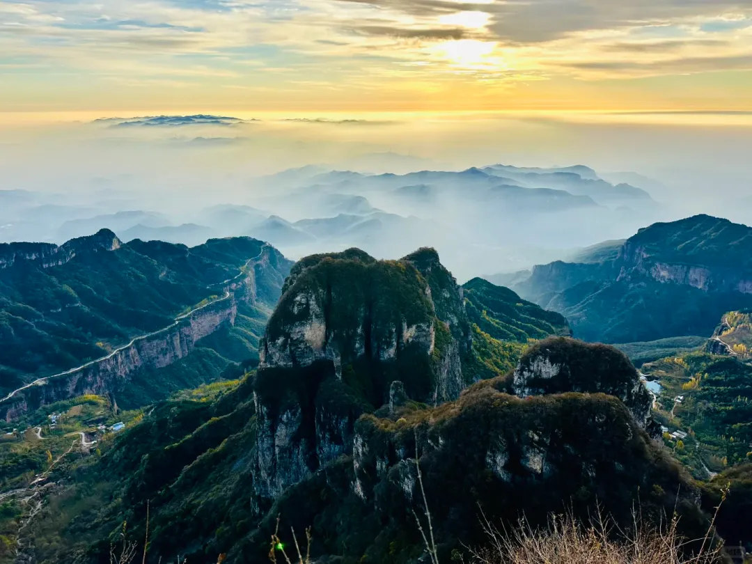 5c86f7a9ead36445398d275f11e325d6-sz_2292890