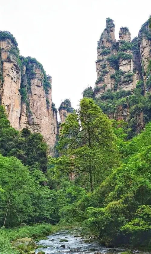 5cfddb7b6a7624d9e367961ef61be455-sz_119414