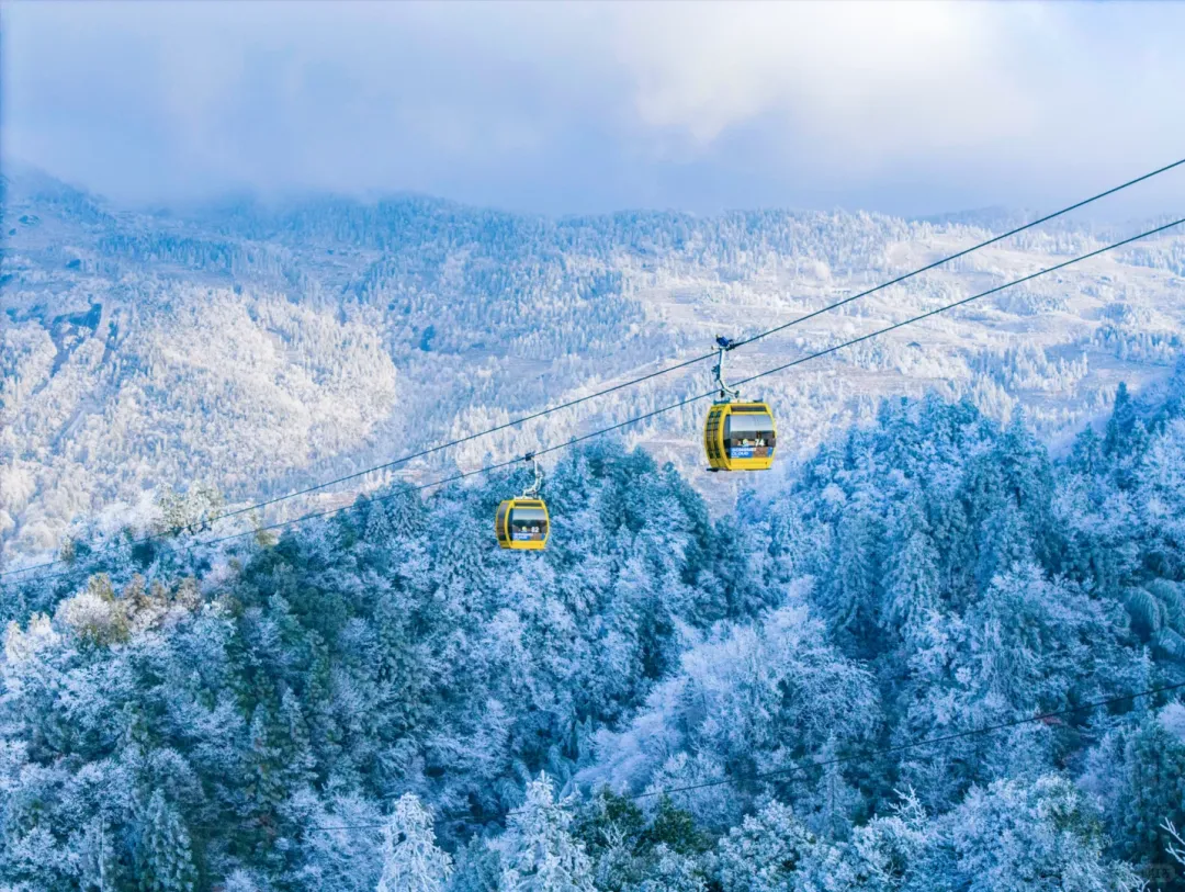 5d0f370f5012c1c8969671d98a6e59be-sz_2630234