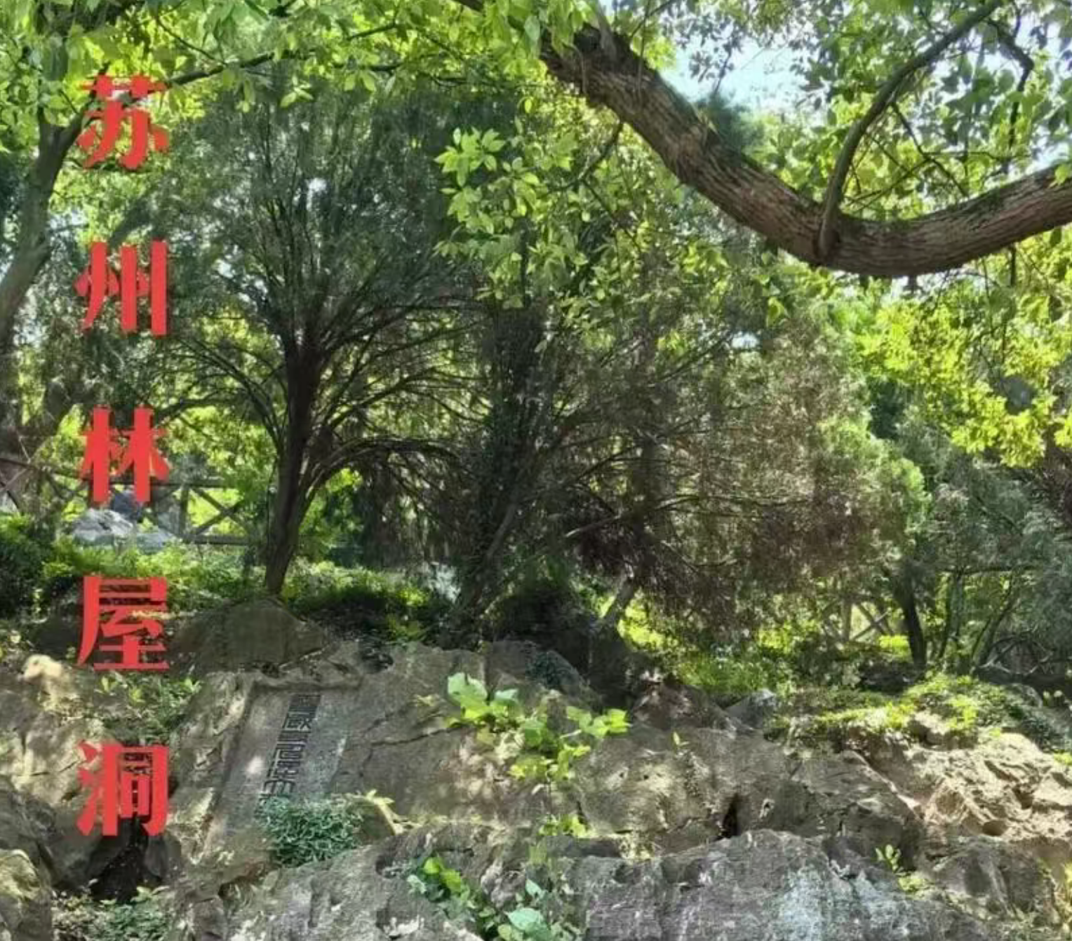 5d2bab6c37d41fa922f5d4f22a23e0a0