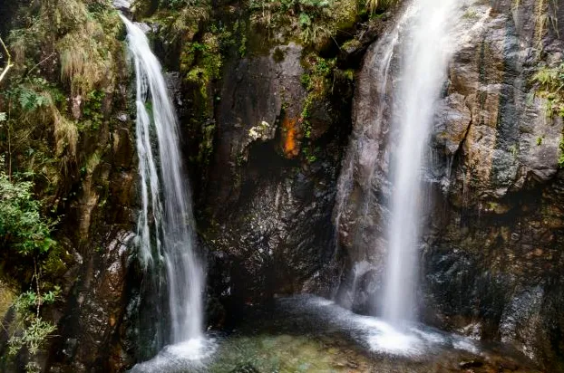 5d6c54dd66a31d12e529f797c84be8a9-sz_584297