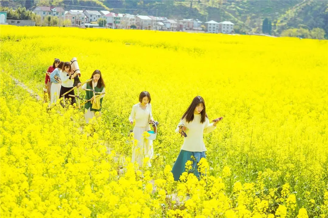 5ddb0f9891f5df615eb0ed19e96d1e20-sz_167138