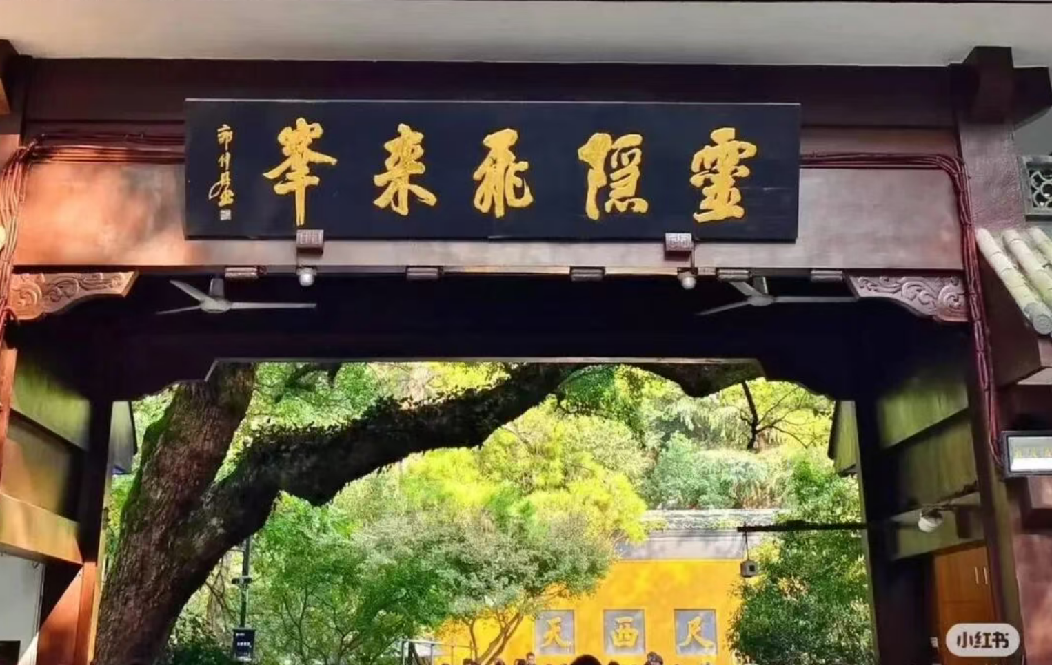 5deb47e28cc89fd53a6228d3563a4c37