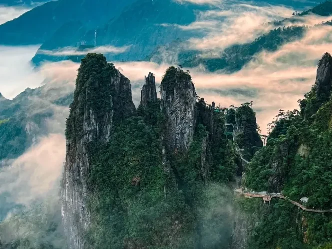 5e01b90bc8d819efa6f99a4b7c8dd838-sz_633865