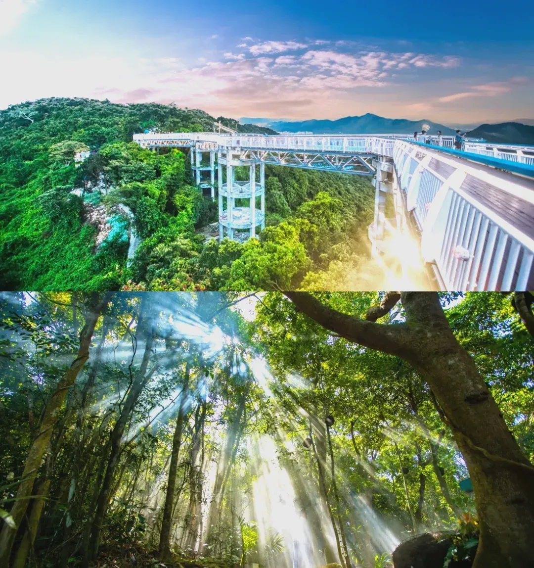 5e36a4aa2bcbad4a591cc4e4486fe7e1-sz_2096558