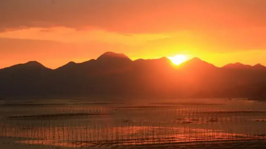 5f22630f2571858606d4a6420422567d-sz_550715 5f22630f2571858606d4a6420422567d-sz_550715