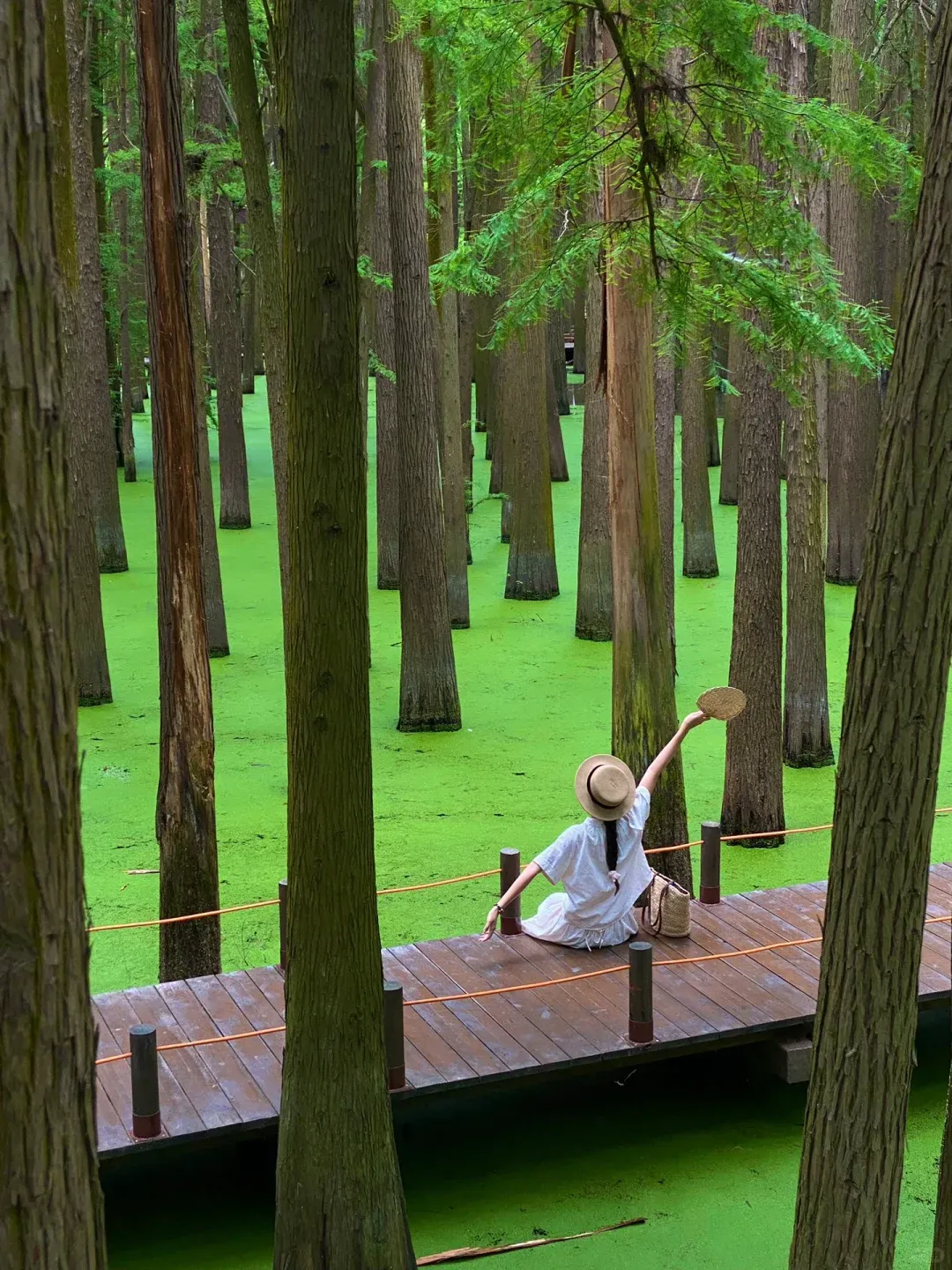 5f709a094b80731f2999a11f920a8fe4-sz_3802558