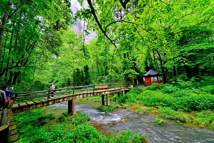 611085cdb7881e4cafab687f949de544-sz_1661366