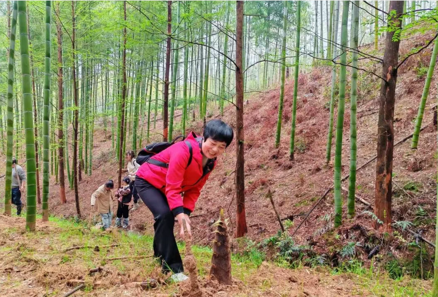 611d5b446301664d01b74b5ed877d7da