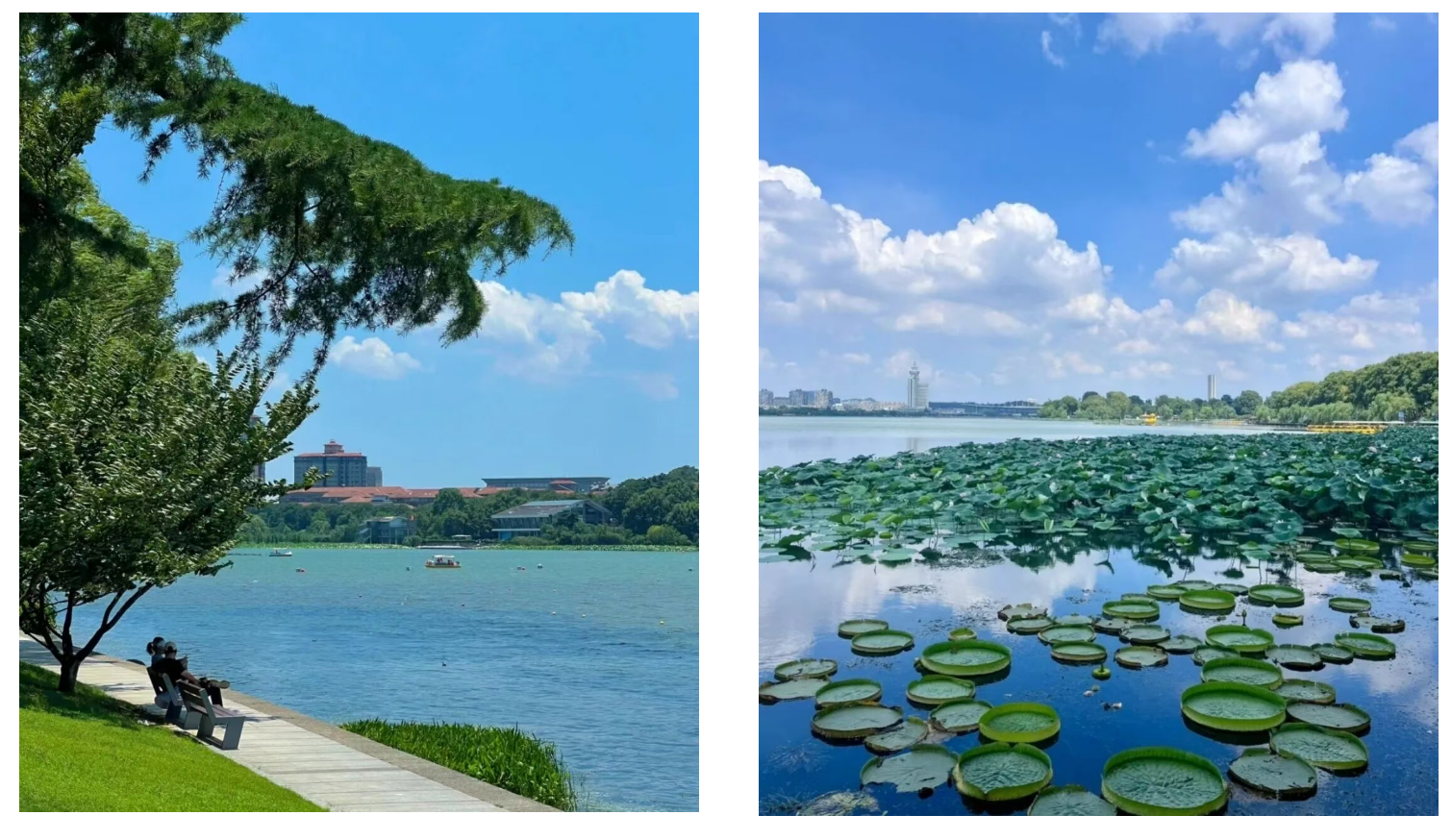 611e58ec496491c3f3f75569c3dc6d1b