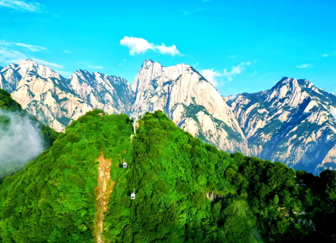 6190d44ac017b66362d4098f52993f4f-sz_1180142-1