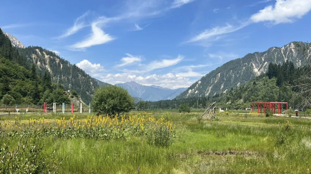 6211c331891f18351f289861f224e227-sz_1820000 6211c331891f18351f289861f224e227-sz_1820000