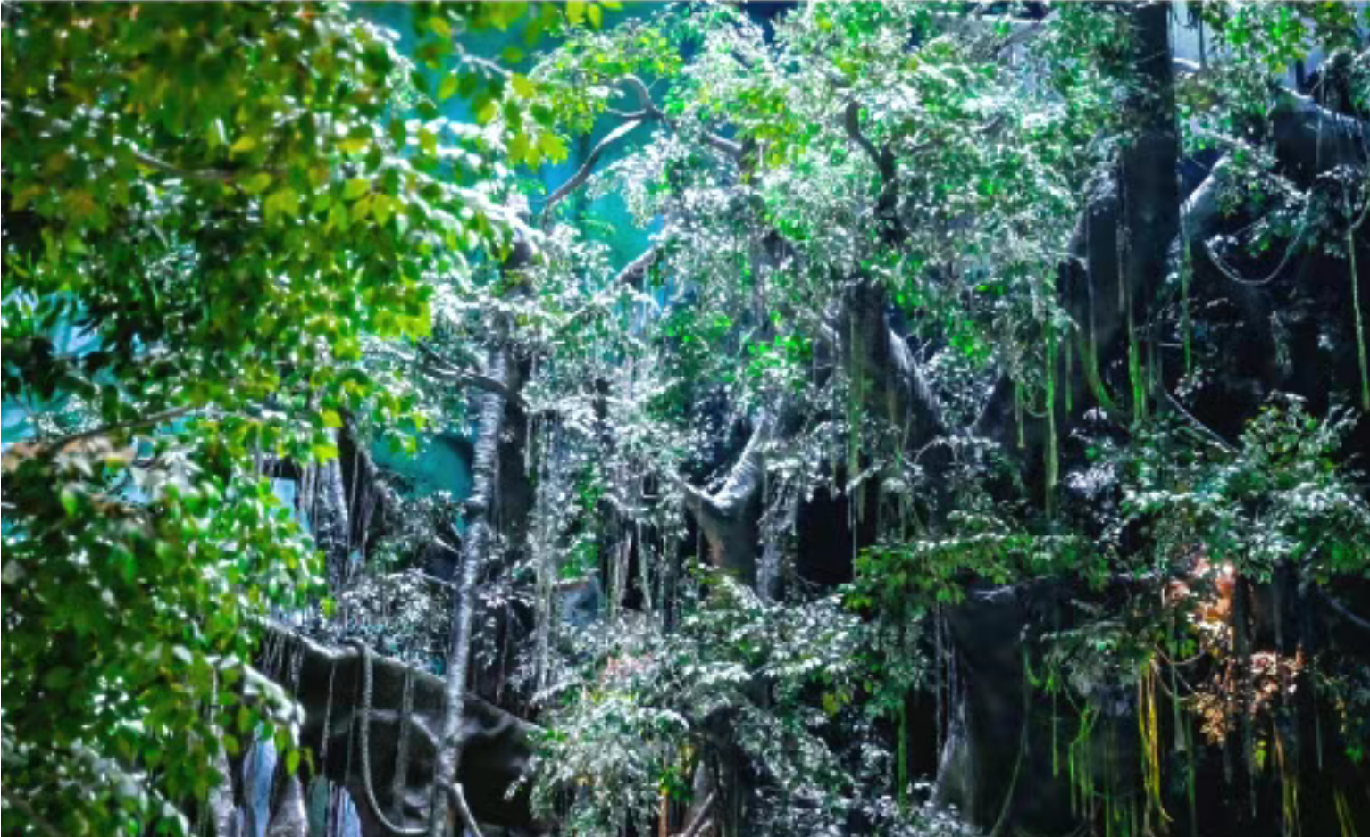 625397a30e2441d5d9caebc54b067341