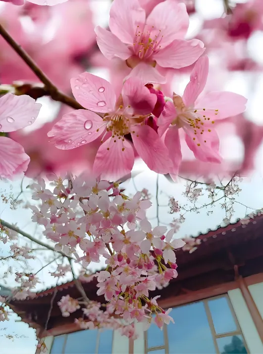 630544e0a2c5796f0e96dc531d4e218b-sz_632284