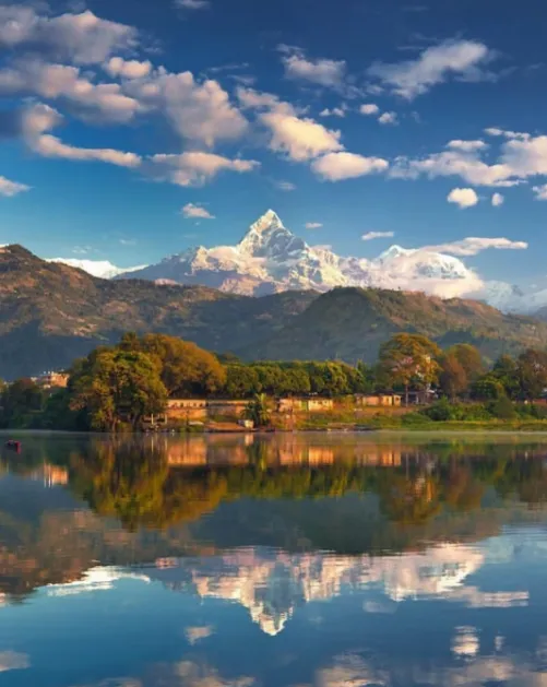 6353e9c5850278f3d4a3c7c00edb4928-sz_747933