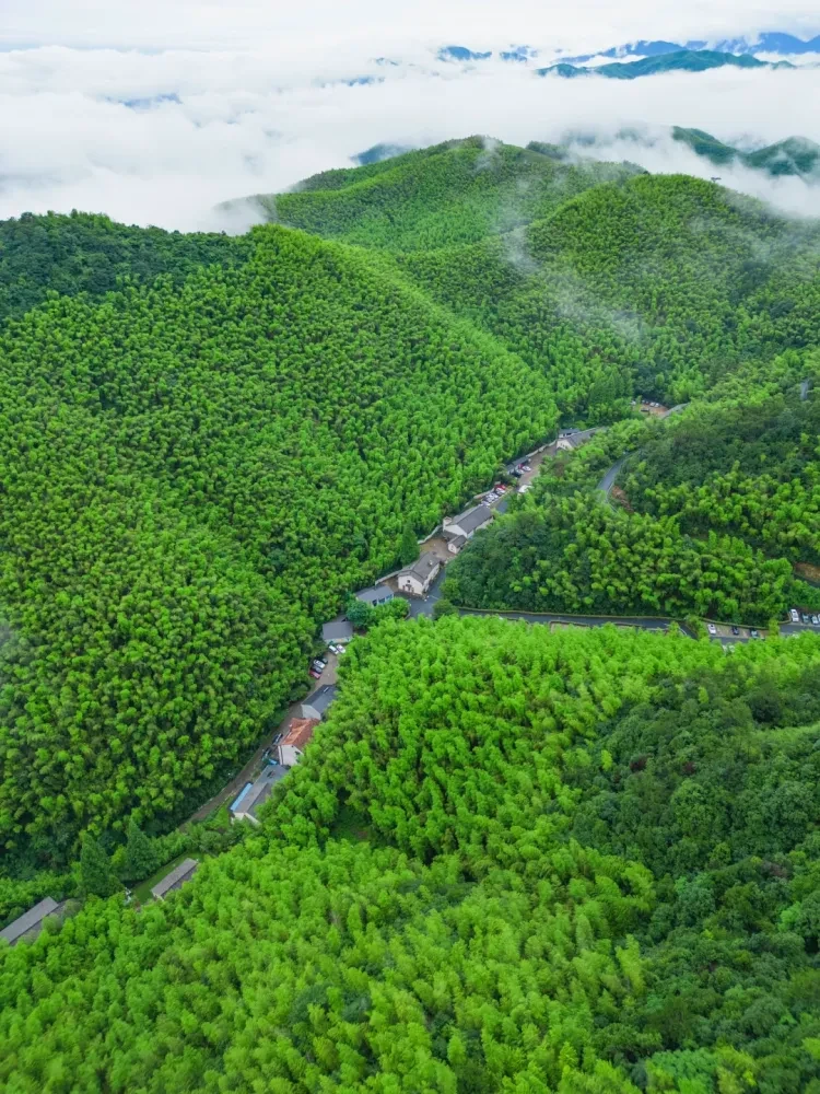 639a2269b12ada27bb29528c1d5b6a19-sz_4007877