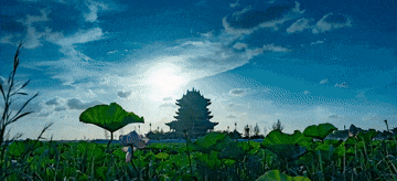 苏州4日聚会  洲际酒店唯一全自助聚会套餐，全年零差评丨赠3早7正餐含3宿、接送仅499元 免费棋牌、K歌，免费夜游中国第一水乡、绚烂夜色