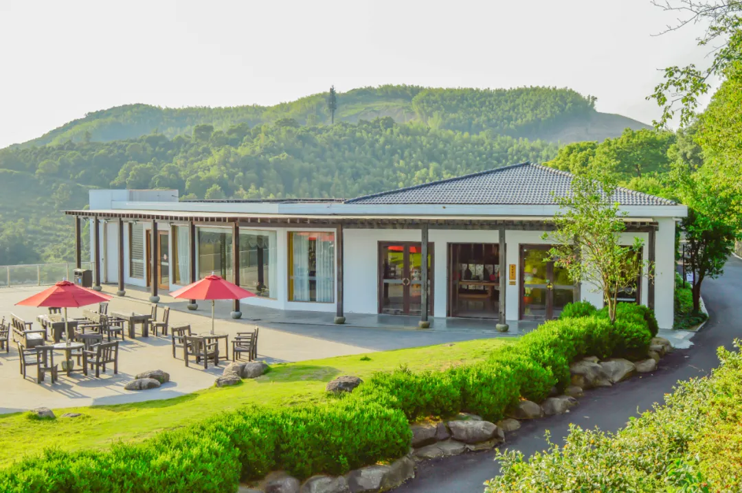 顶流🌸宁波崖壁-绿野花谷酒店《慈城版“圣托里尼”万亩花海》4天499元，奢赏万m²樱花海，奢赏万m²芝樱，住在花海里，含4A级绿野欢乐谷大门票+4次景交，享3早6正，免费麻将KTV，夏日更有无边泳池