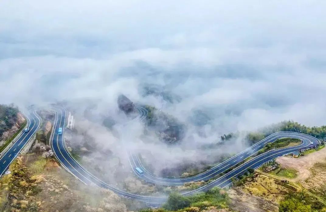 🌸宁波余姚-四明山499『浙东天路！春游赏花🌿4天-100%住四明山森林公园内！』休闲度假，赏花·赠送棋牌·卡拉OK娱乐，含3早6正，纯玩康养4日