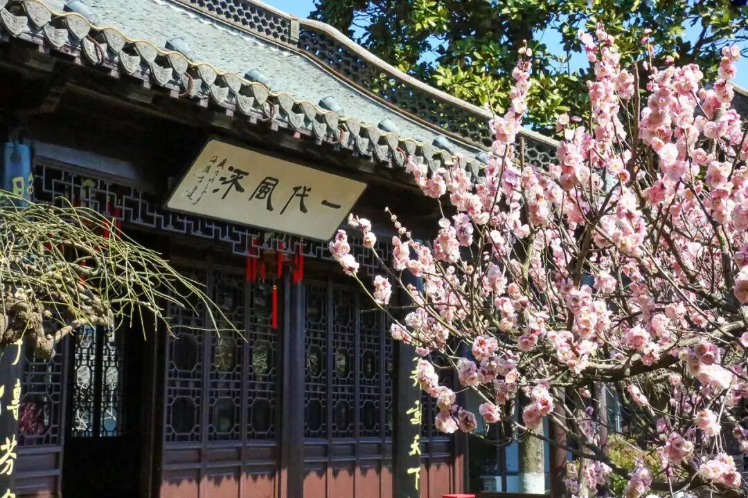 旗舰赏花🌸烟花扬州-黑马泰州『五花世纪缘行政/豪华房！自助早！上午走景点·下午搓麻将，2早5正』3天扬州泰州连线特惠399，免费棋牌唱歌，全程大巴，纯玩没有购物！