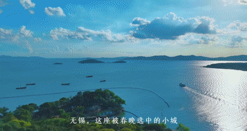 恭迎岁禧 无锡市中心C位年夜饭套餐699元起丨享2588年夜饭+高标正餐，交通便利。免费棋牌、泳池 于鼋渚探春、惠山访古