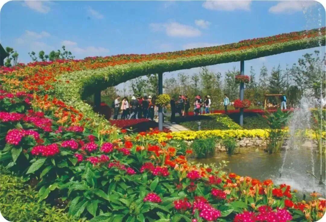 2026龙城春好处，花博园里觅芳菲【常州｜五星明都紫薇花园酒店】三天399元含2早4正，免费麻将KTV，近花博园、春秋淹城、西太湖揽月湾！