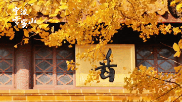 恭迎岁禧 宁波溪口年夜饭|住五星级度假村，可以放烟花的银凤度假酒店，新春3日聚会799元享1888年夜饭+2顿正餐，免费棋牌唱歌