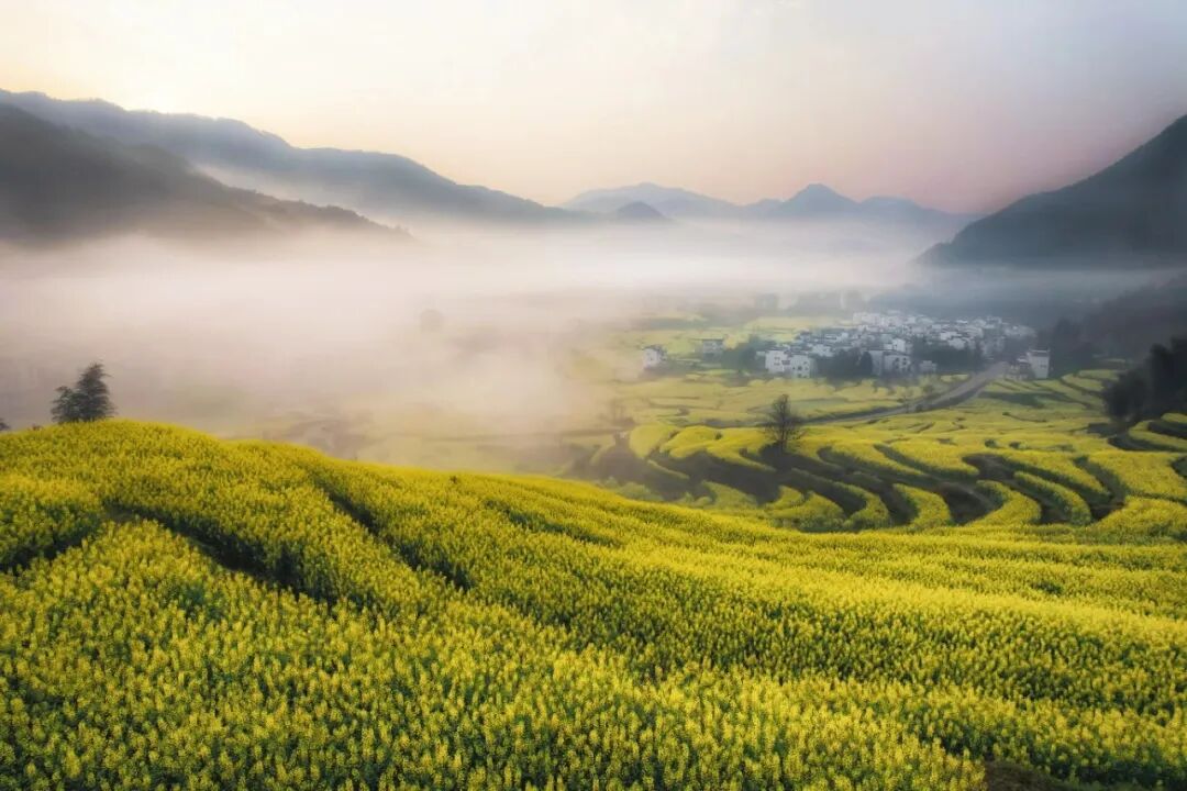 【财神到】江西榜封神景区·春季走马观花·4日纯玩398·婺源篁岭·上饶葛仙山·葛仙村·精品商务酒店·3早3晚餐·赴赣赏春~