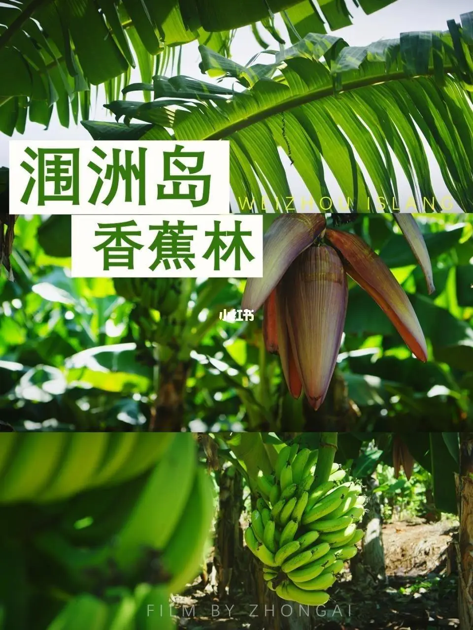 6431132c94cabd583cdd60c37cded62d-sz_176334 6431132c94cabd583cdd60c37cded62d-sz_176334