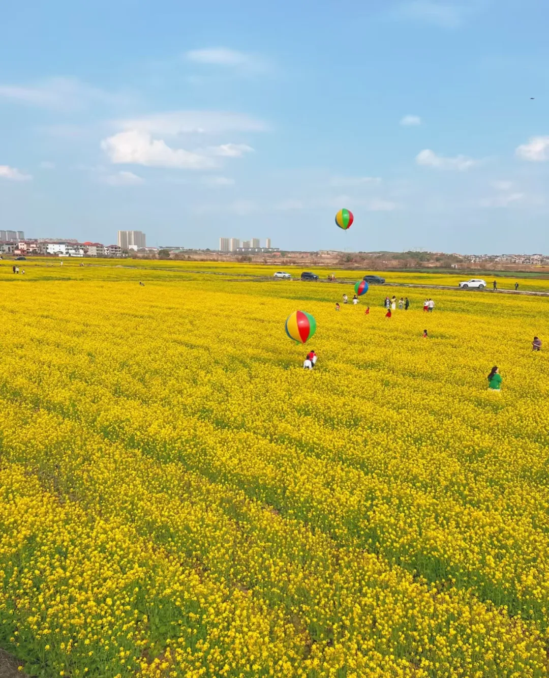 645a2735439d33254720e09d87fb7e49-sz_1729929