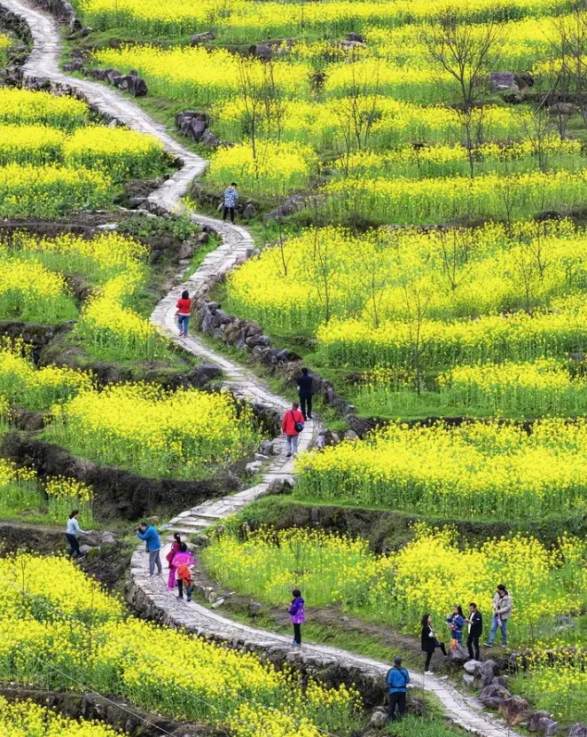 64fa291927ff1887441724de02fbaa17-sz_1794742-1