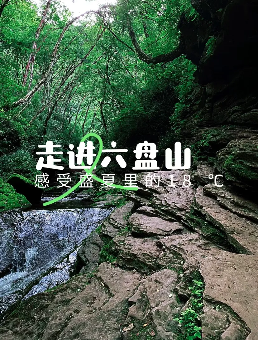 6517afe89bca5f79ce6dd74aa4ab9541-sz_1479632 6517afe89bca5f79ce6dd74aa4ab9541-sz_1479632